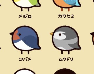 日本で見られる主な小鳥 皆様の地域ではどの鳥が見ることができますか Buzz Media